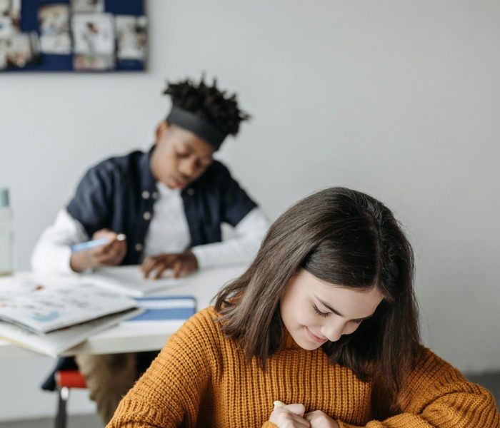 IELTS & PTE Coaching Classes Two students concentrating on their work in a cozy classroom environment.